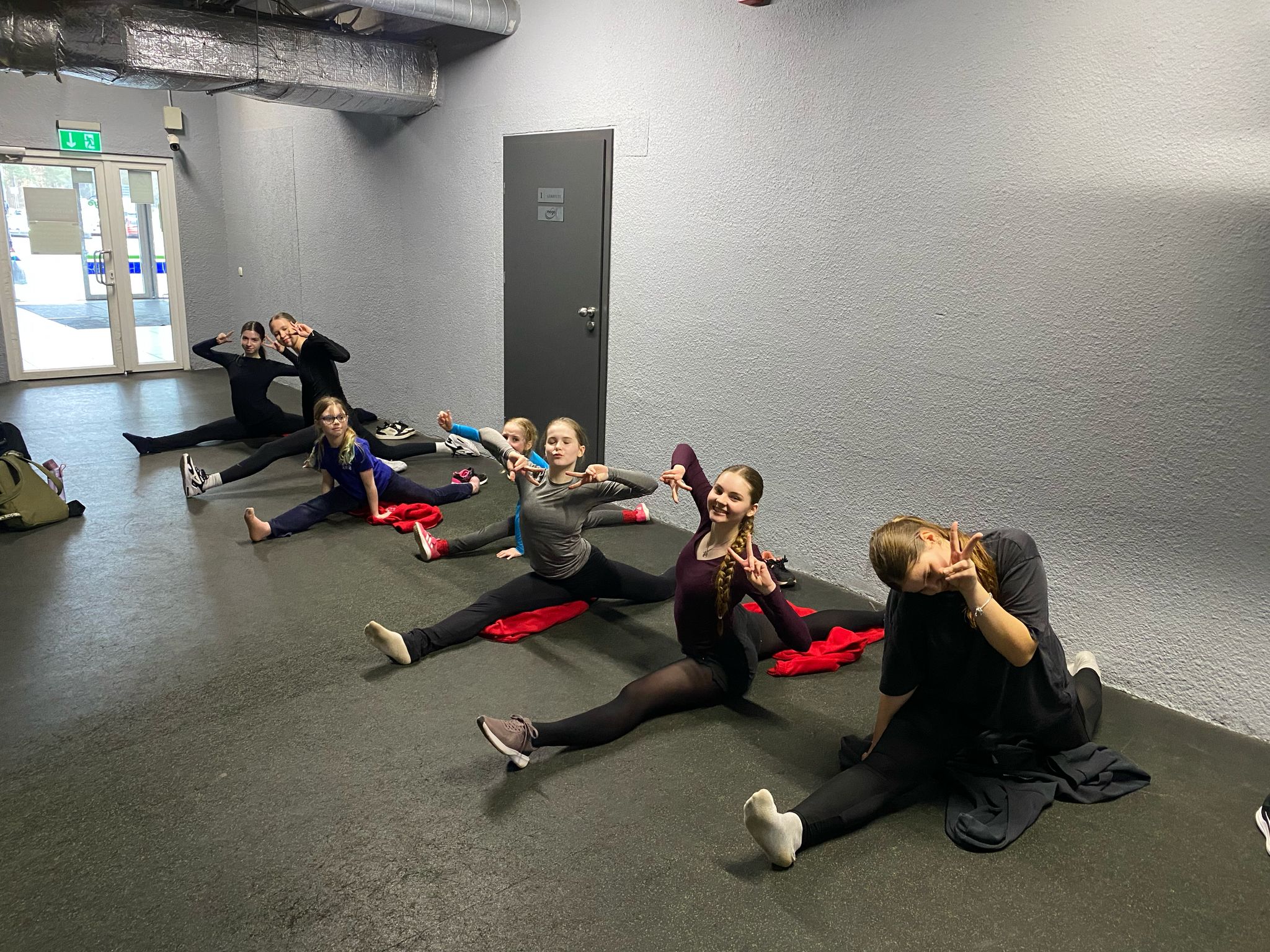 dailslidosana-berniem