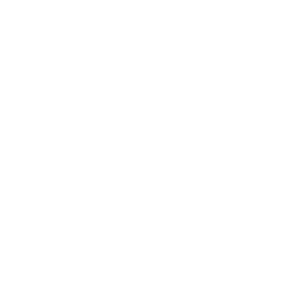 logo-dzintaraslidas